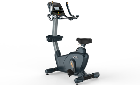 ��ʽ����܇