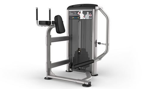 IE9526臀大肌訓(xùn)練機(jī)