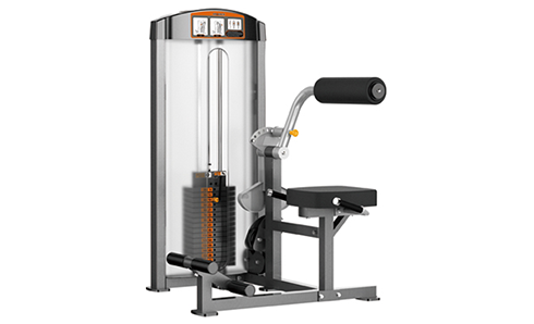 腹背肌伸展訓練器