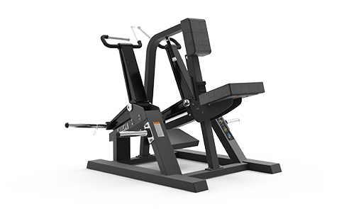 坐式劃船拉力訓練器