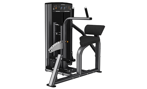 腹部、背部伸展訓練器