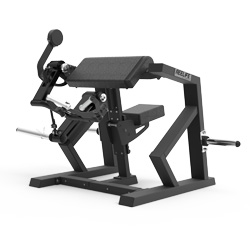  坐式二頭肌彎舉訓(xùn)練器